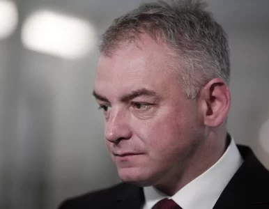 Miniatura: Dębski: Młode wilczki z SLD nie szczędzą...