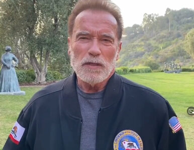 Miniatura: Schwarzenegger i Shriver oficjalnie nie są...