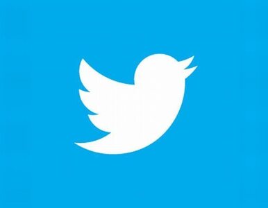 Miniatura: Akcje Twittera w dół