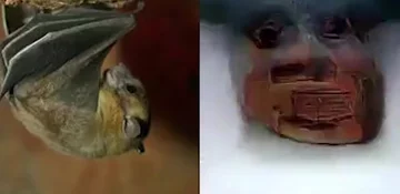 Obrazy "zrekonstruowane" przez sztuczną inteligencję 