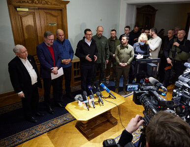 Miniatura: Rozłam w opozycji po podróży do Kijowa....