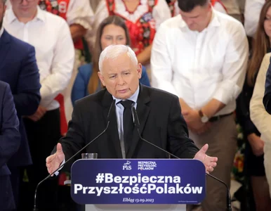 Miniatura: Prezes PiS ostrzega przed manewrem z...
