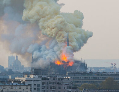 Miniatura: Kto spalił katedrę Notre Dame?