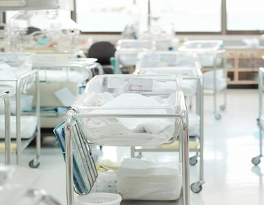 Miniatura: Umieralność noworodków i niemowląt w...