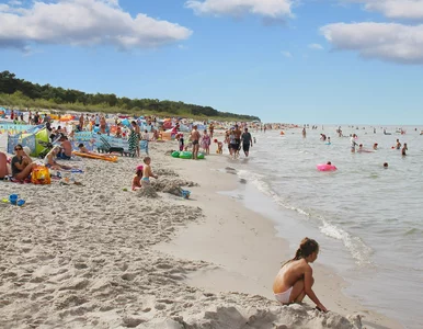 Miniatura: Ile Polacy wydadzą w tym roku na wakacje?...