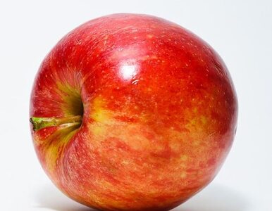 Miniatura: Jabłka łąckie objęte geograficzną ochroną...