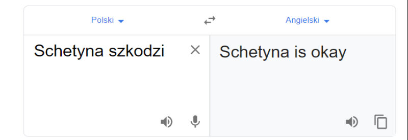 Tłumacz Google i fraza „Schetyna szkodzi” 