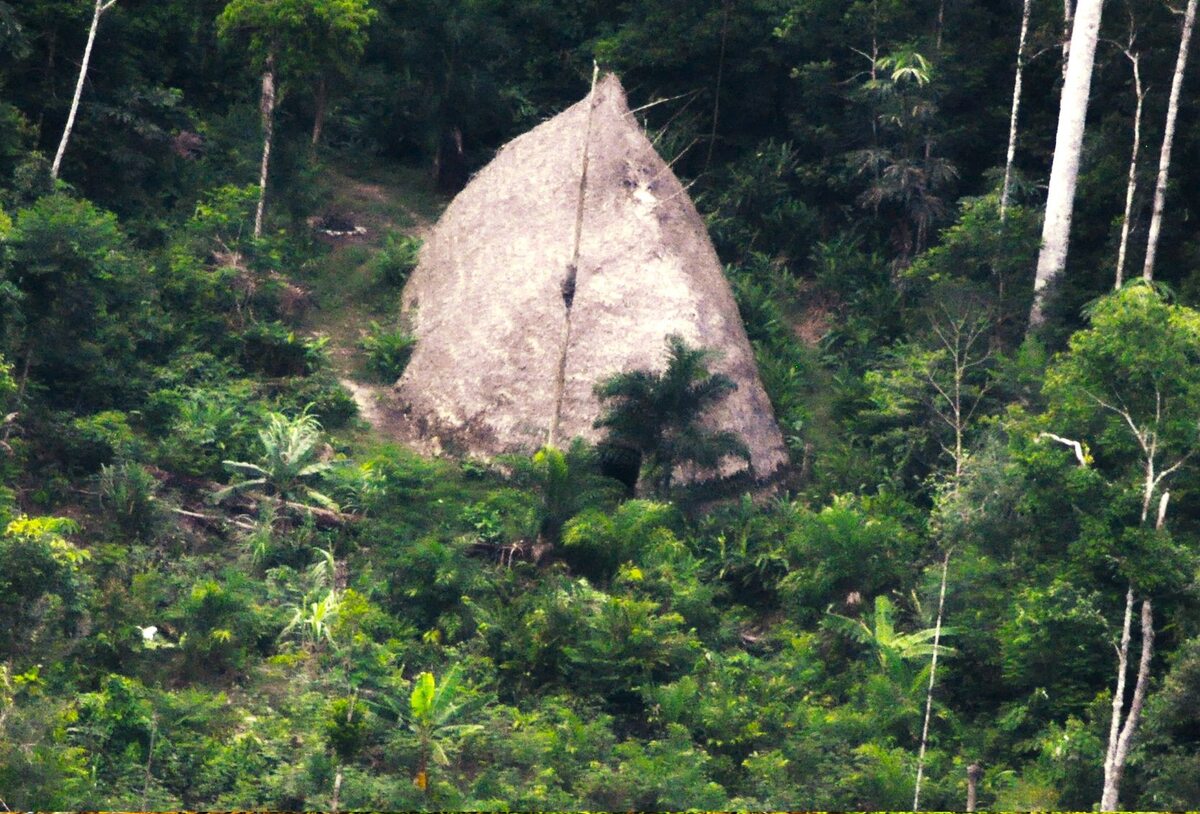 Chata członków plemienia żyjącego w dolinie rzeki Javari 