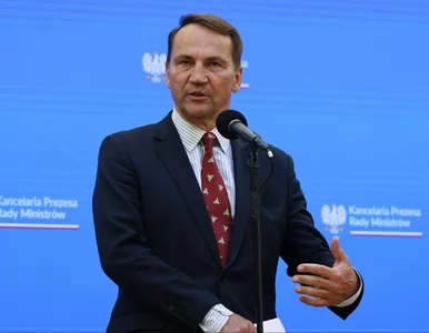 Miniatura: Sikorski po dwóch miesiącach ma powód do...