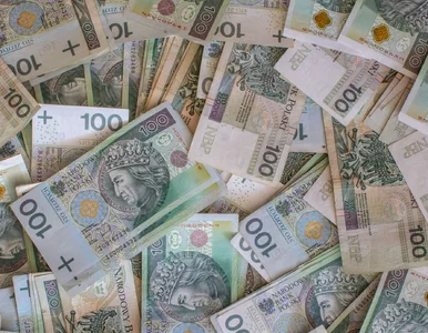 Miniatura: Gotówka wraca do gry? Posłowie chcą dużej...