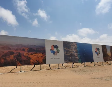 Miniatura: Czy billboardy wciąż mają moc? Przewaga...