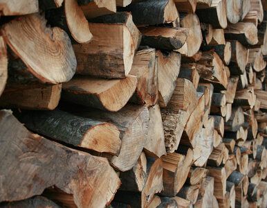 Miniatura: Ceny drewna. Ile kosztuje drewno opałowe?