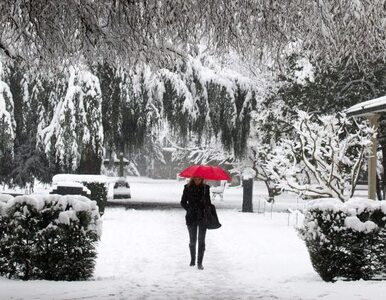 Miniatura: Śnieg zabija w Japonii. 56 ofiar zimy
