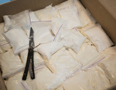 Miniatura: 23 tony kokainy o wartości 3,5 mld euro....