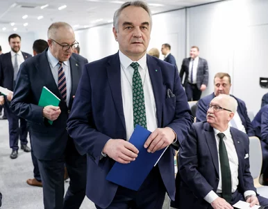 Miniatura: Były premier pojawi się na Marszu Miliona...