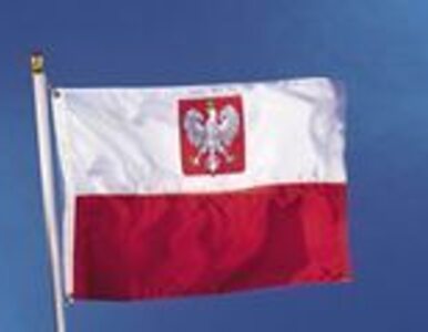 Miniatura: Polacy negatywnie o koalicji PO-PSL