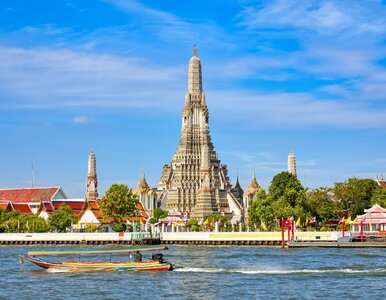 Miniatura: Egzotyczna nowość na polskim lotnisku. To...