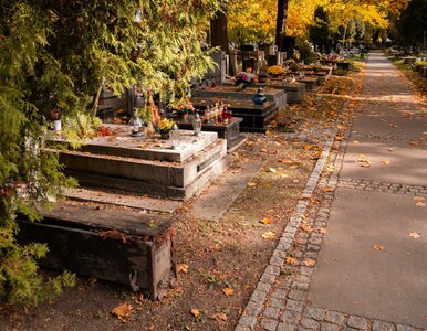 Miniatura: Dziś decyzja związana z 1 listopada?...