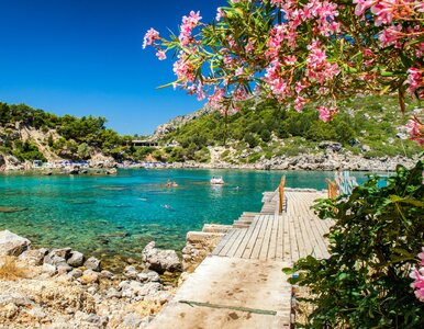 Miniatura: Wizz Air zawiesza... i dodaje nowe trasy z...