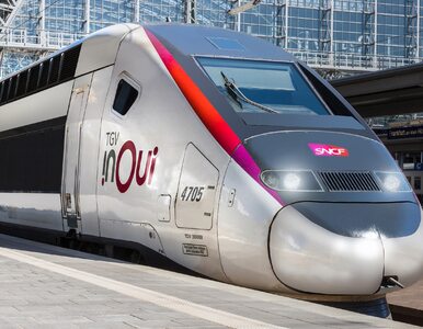 Miniatura: We Francji wykoleił się pociąg TGV. Ponad...