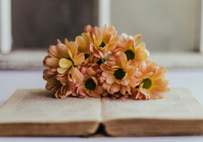 Miniatura: Quiz językowy dla ekspertów. Wiesz, co...