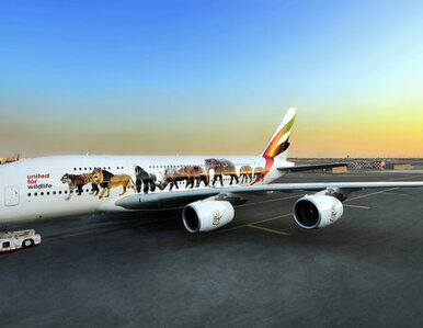 Miniatura: Linie Emirates podejmują działania...