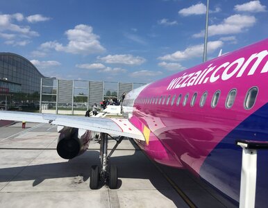 Miniatura: Wizz Air uruchomił siedem nowych tras z...