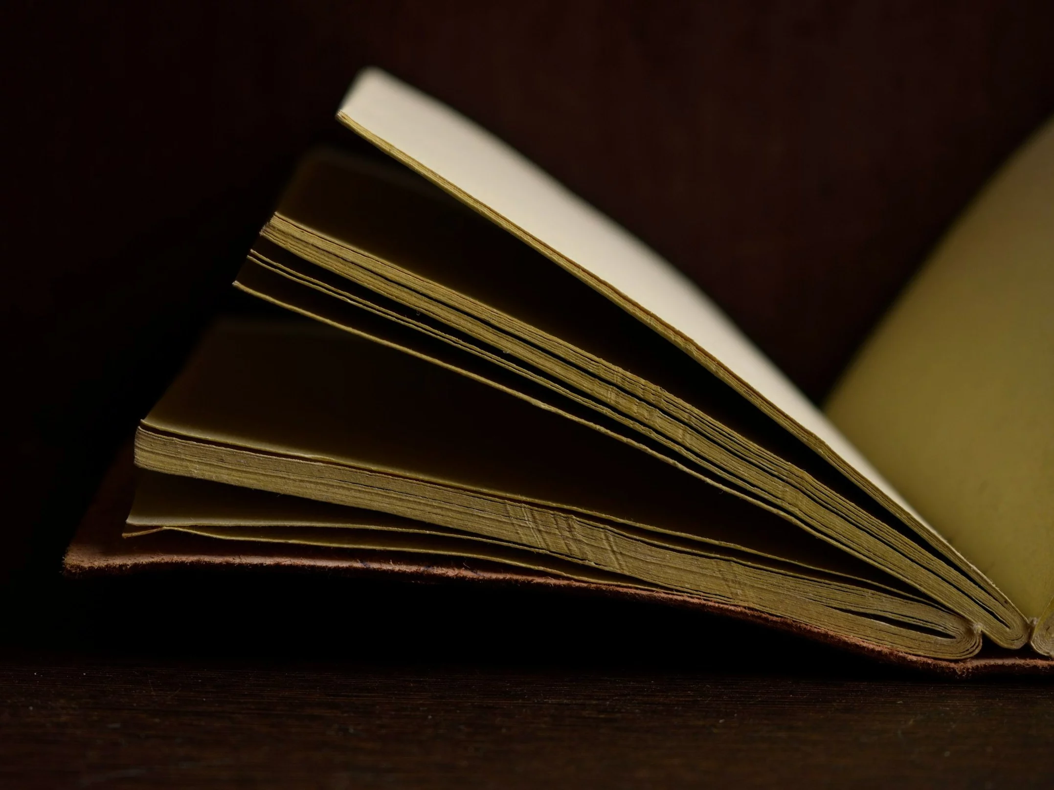 Czytałeś „Quo Vadis”? Sprawdź, ile pamiętasz