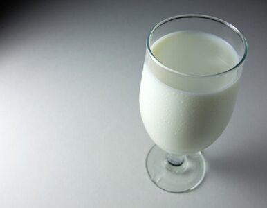 Miniatura: Pij mleko i jedz czekoladę - nie będziesz...