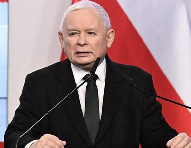 Miniatura: Spekulacje wokół deklaracji Kaczyńskiego....