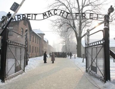 Miniatura: Podżegał do kradzieży napisu z Auschwitz....