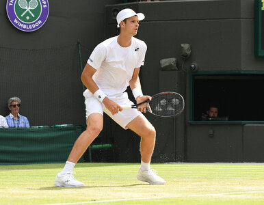 Miniatura: Hubert Hurkacz w ćwierćfinale Wimbledonu!...