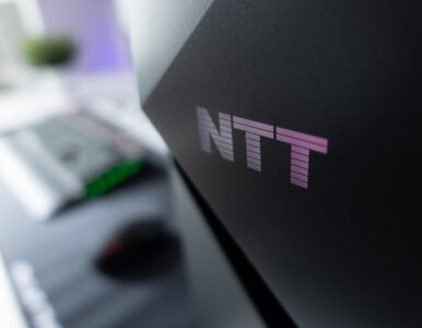 Miniatura: Polska firma NTT rzuciła wyzwanie...