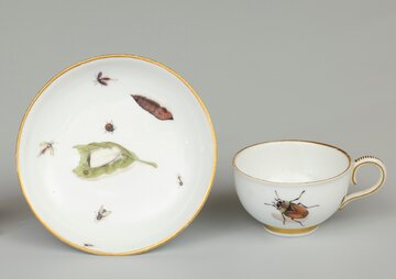 Porcelana miśnieńska z&nbsp;XVIII wieku zdobiona owadami i&nbsp;wygryzionym przez nie&nbsp;listkiem