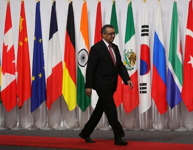 Miniatura: Dyrektor generalny WHO: Świat musi wydać...