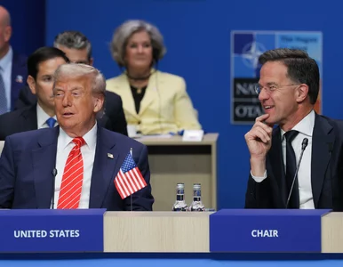 Miniatura: Ponury wydźwięk szczytu NATO. Koniec...