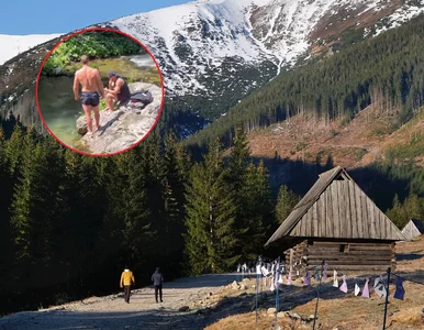 Miniatura: W Tatrach zawrzało po zdjęciu turystów....
