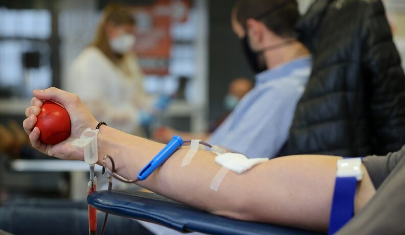 Miniatura: Potrzebna młoda krew. Transfuzjolog: Tego...