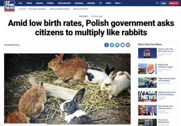 Screeny z zagranicznych mediów dotyczące polskiej kampanii 