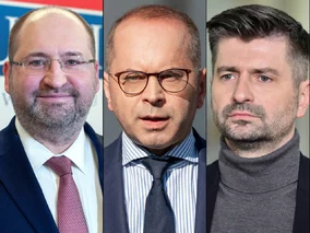 Miniatura: Tak europosłowie reprezentują Polskę w PE....