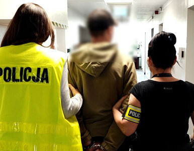 Miniatura: Nożownik na terenie uczelni. Niebezpieczny...