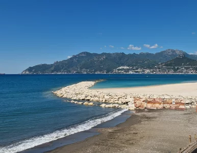 Miniatura: Szczury opanowują europejską plażę. To...