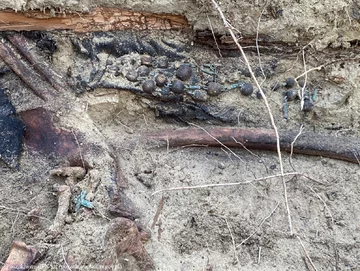 Poszukiwania szczątków zakonnic na cmentarzu w Ornecie 