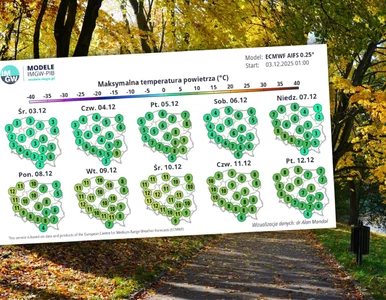 Miniatura: Uderzenie ciepła w grudniu. Tyle pokażą...