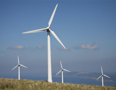 Miniatura: PiS: elektrownie wiatrowe nie mogą być tak...