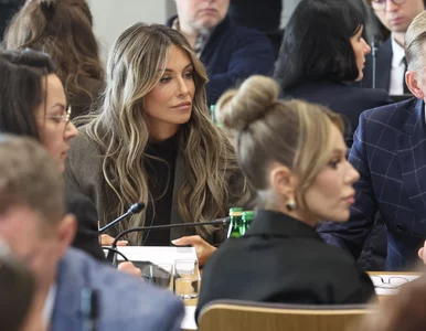 Miniatura: Doda i Rozenek-Majdan razem w Sejmie. Dla...