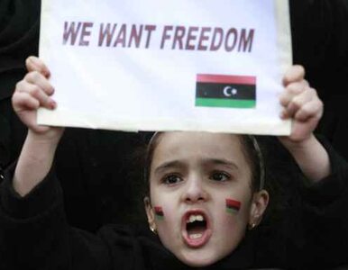 Miniatura: Francja: uratujmy Libię przed wojną domową