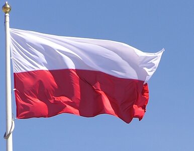 Miniatura: Polska ma najmniejszy odsetek...