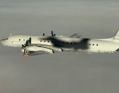 Miniatura: Rosyjskie samoloty nad Bałtykiem. Musiały...