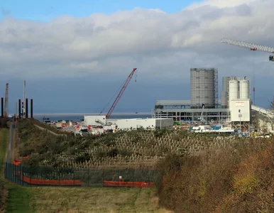 Miniatura: Atom szansą dla polskich firm